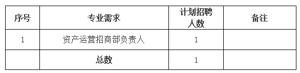 黃山市屯溪城市建設(shè)投資有限責(zé)任公司 招聘信息